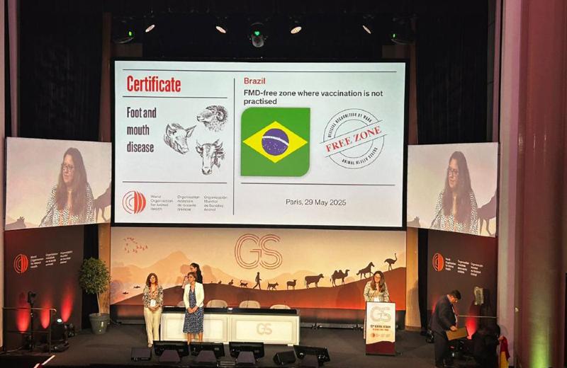 Mato Grosso, Febre aftosa, Otaviano Pivetta