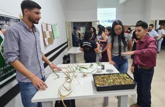 Seciteci, Mato Grosso