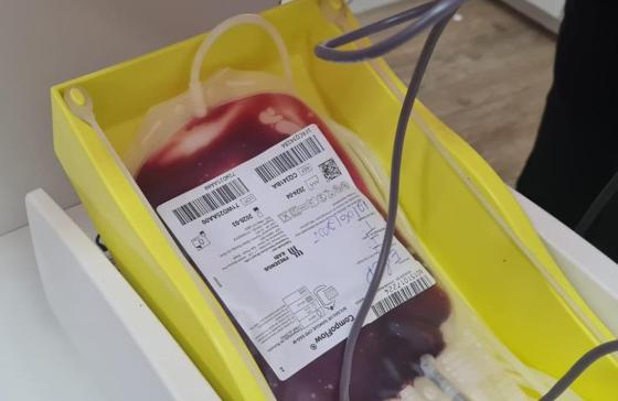 Hemocentro, Sangue