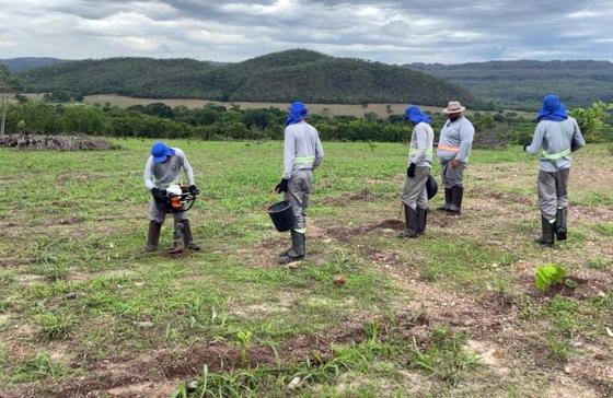 Todos pelo Araguaia, Araguaia
