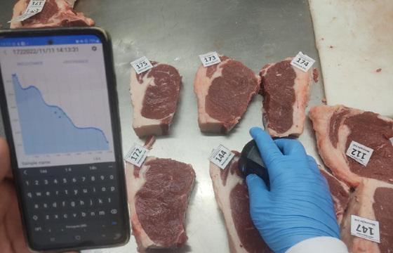Porjeto Carne UFR