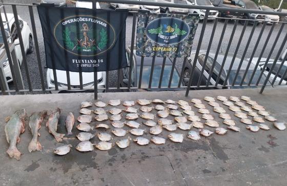 Peixe apreendido, Polícia Florestal