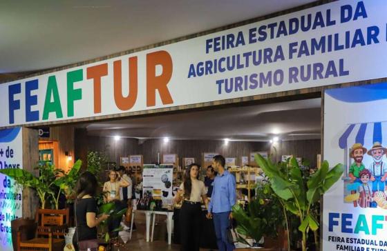 SEAF, MATO GROSSO